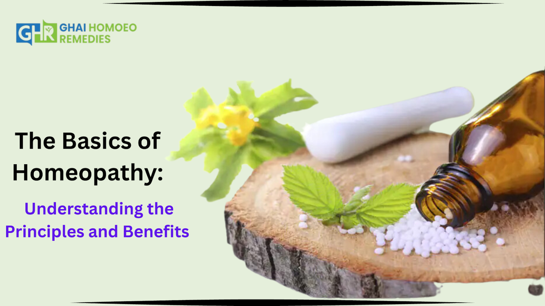 The Basics of Homeopathy: Understanding the Principles and Benefits