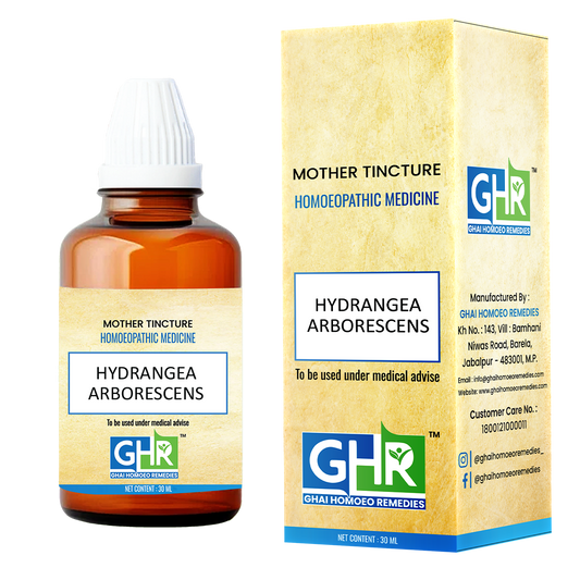 Hydrangea Arborescens