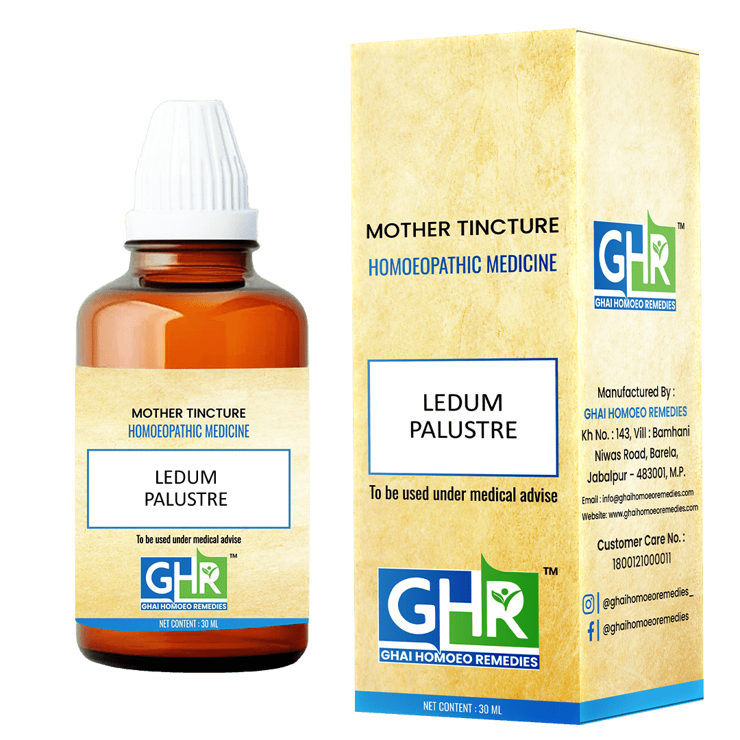 Ledum Palustre Mother Tincture