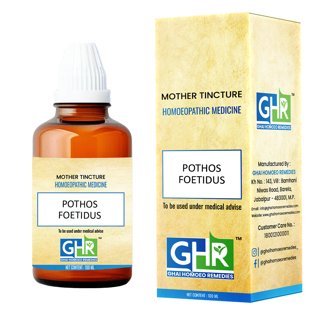pothos mother tincture Pothos Foetidus – Ghai Homoeo Remedies
