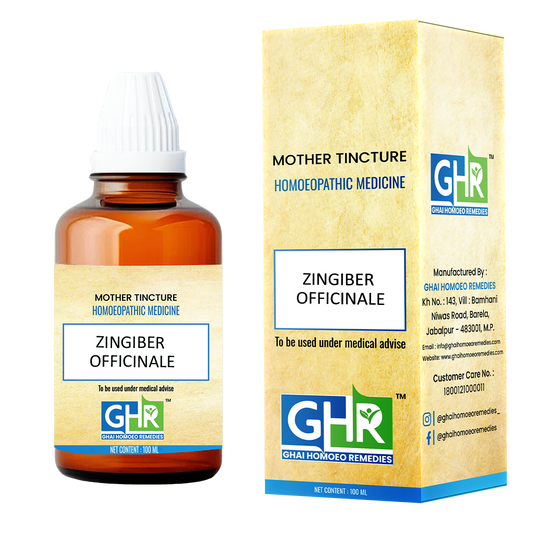 Zingiber Officinale