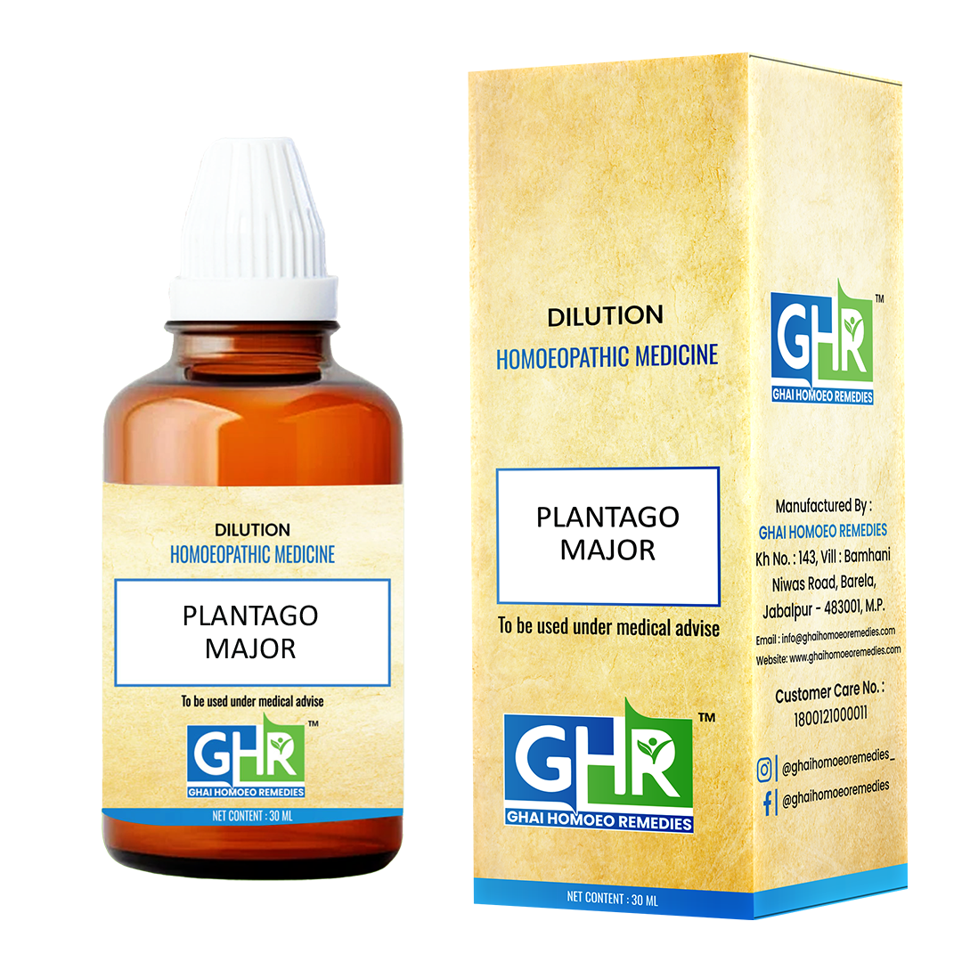 Plantago Major Dilution