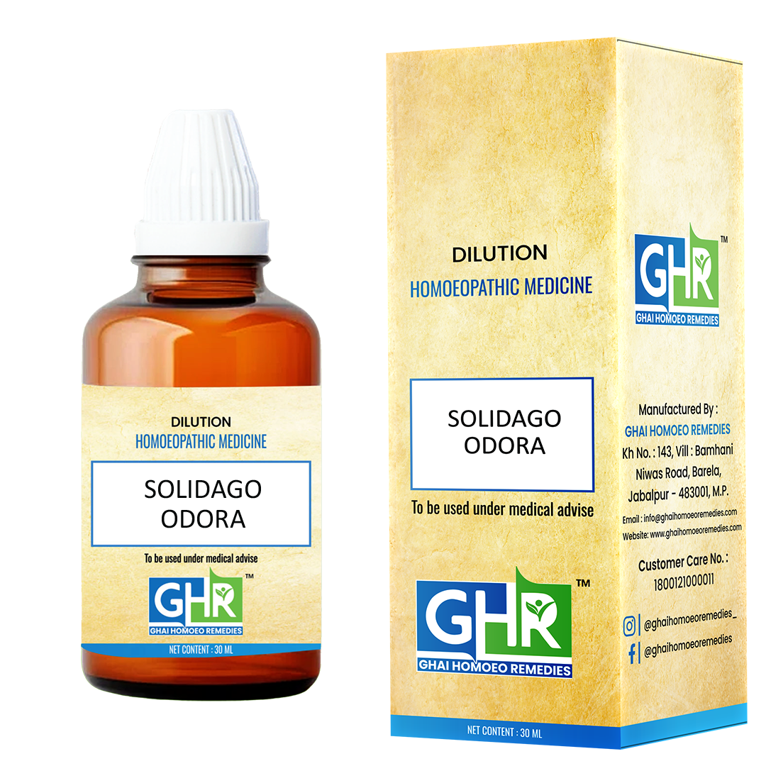 Solidago Odora Dilution