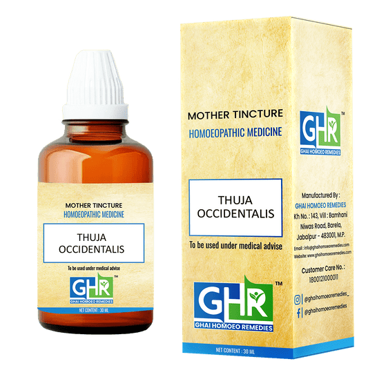 Thuja Occidentalis Mother Tincture